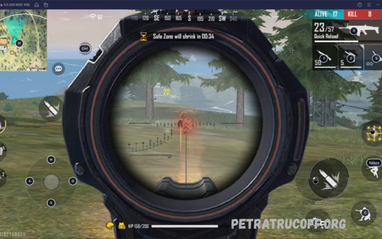 Guía Profesional Streaming Free Fire Gameplay