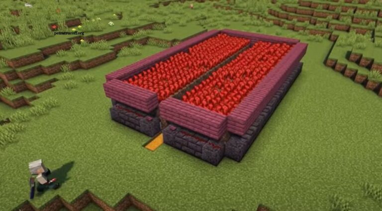 Best Minecraft Farms for Unlimited Resources