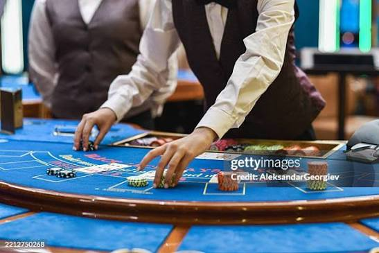 Lucky Bear: A Practical Guide to the Casino Platform
