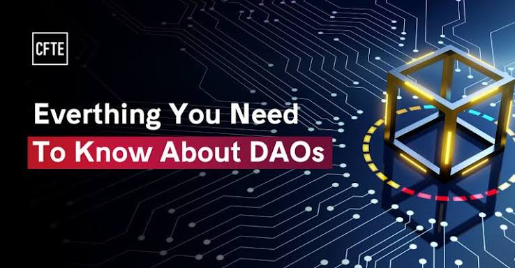 DANATOTO Platform Explained: A Detailed Introduction to Its Online Presence, General Features, and Important User Information